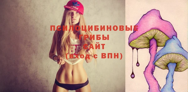 ПСИЛОЦИБИНОВЫЕ ГРИБЫ Волоколамск