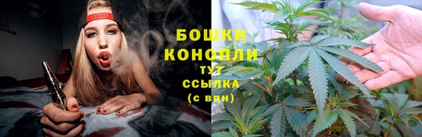ПСИЛОЦИБИНОВЫЕ ГРИБЫ Волоколамск