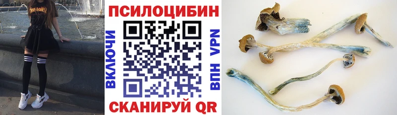 Купить  Ладушкин  Галлюциногенные грибы прущие грибы 